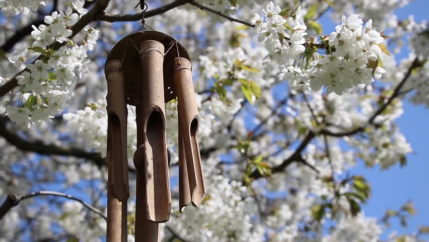 Wind Chimes Stock Footage Video Shutterstock Wind Chimes Hanging In A Blooming Tree Double Slow Motion Of Bamboo On