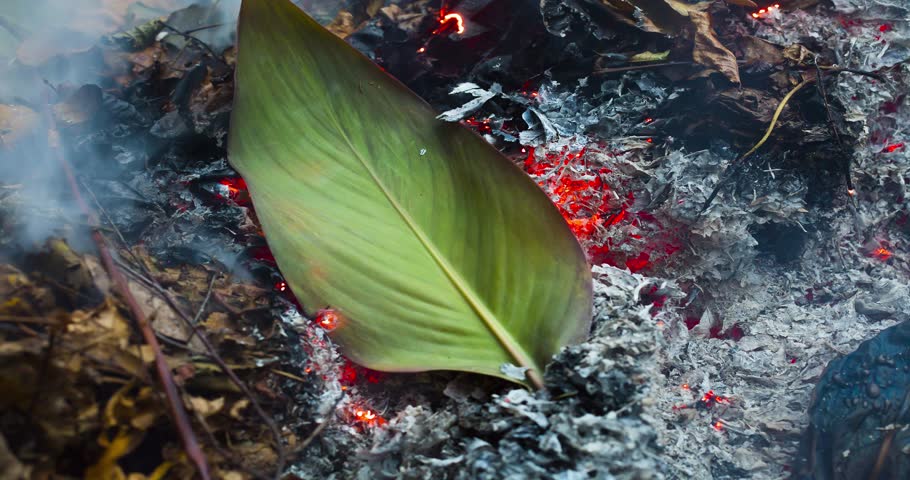 Burning leaves