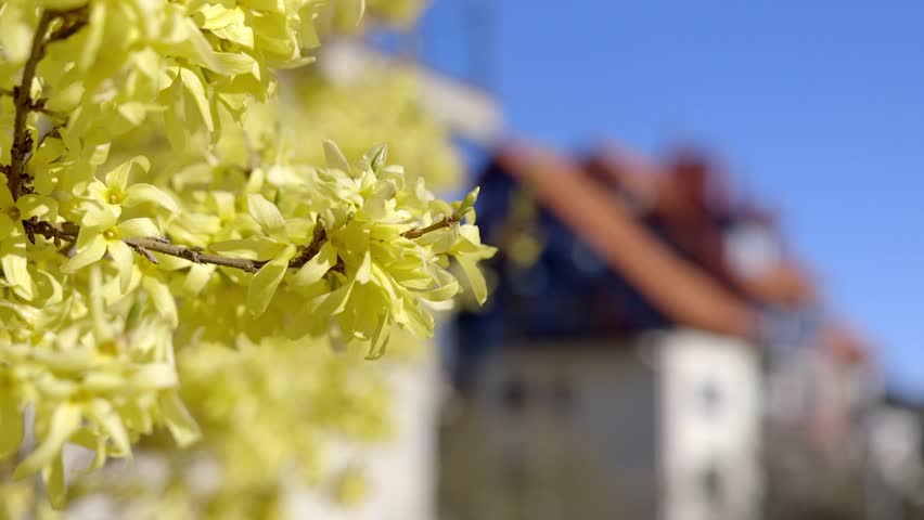 Header of Lithuania