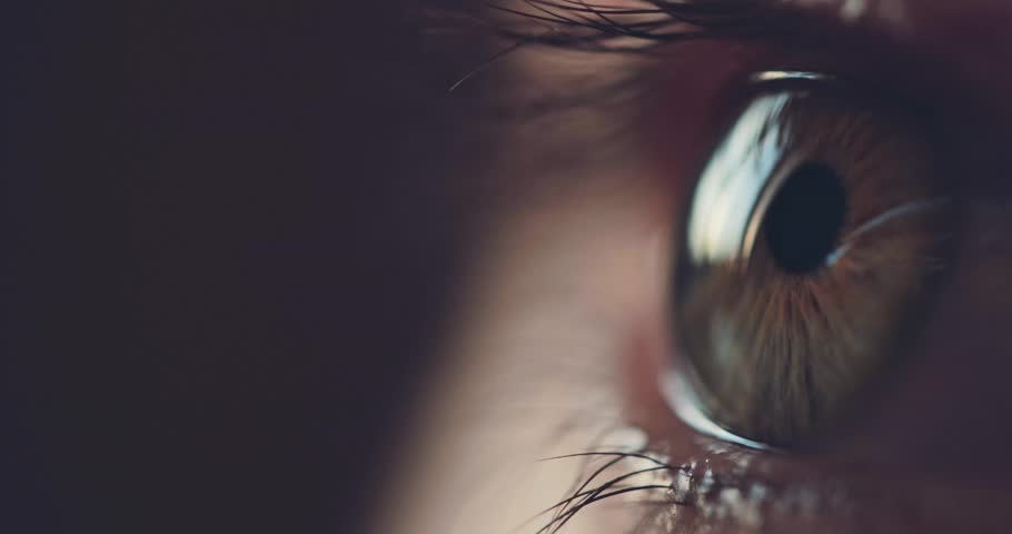 Header of close-up