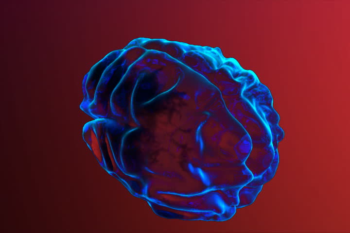 Brain Part - Limbic System Stock Footage Video 3283064 | Shutterstock