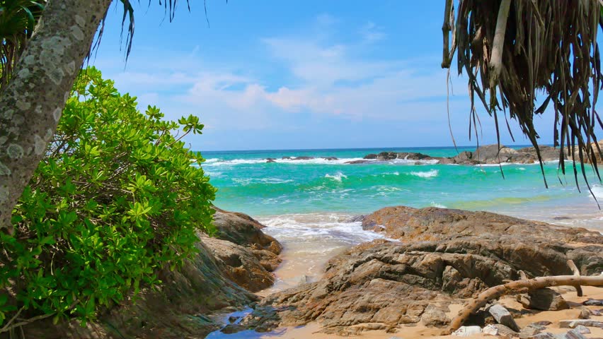 Remarkable, sri lanka beauty s3x clip hd Opinion sri lanka beauty s3x clip hd you