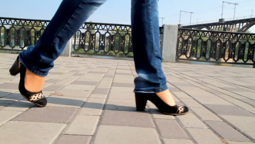 Header of leggy