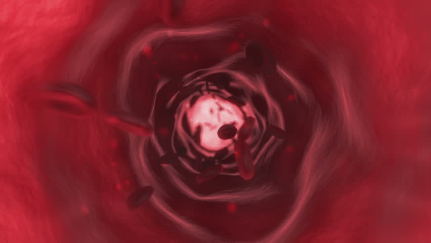 Vein interior with flowing cells and blood in pink