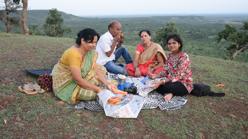 Image result for india picnic