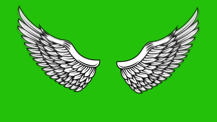 Angel Wings Animation