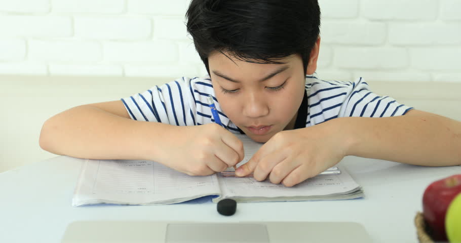 Video Stock A Tema Cute Asian Boy Doing Homework 100 Royalty Free