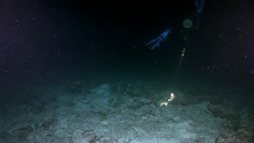 Manta Ray Ramp Fish Underwater On Background Of Amazing Seabed In ...