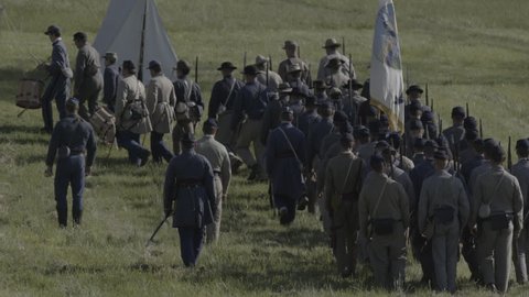 vídeo stock de virginia