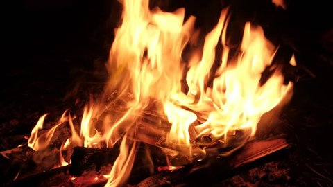 Wood Burning In Outdoor Fire Stock Footage Video 100 Royalty