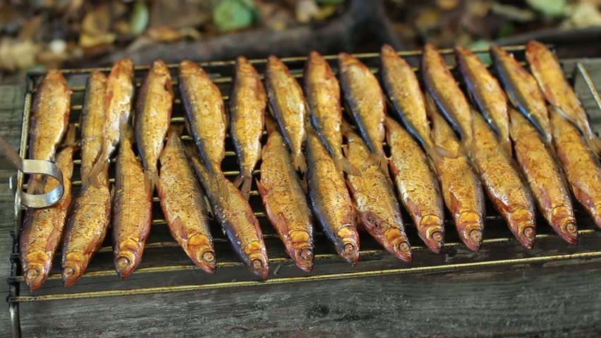 Header of vendace