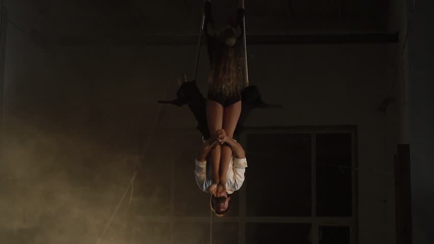 Upside Down Sybian