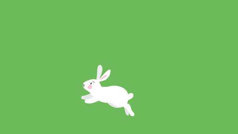 2d Animation Running Cute White Rabbit Stock Footage Video (100%  Royalty-free) 34862116 | Shutterstock
