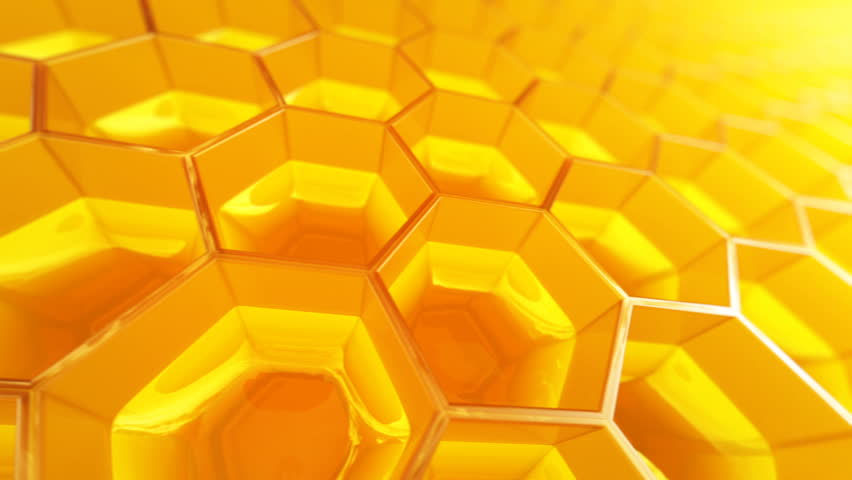 the honeycomb the honeycomb