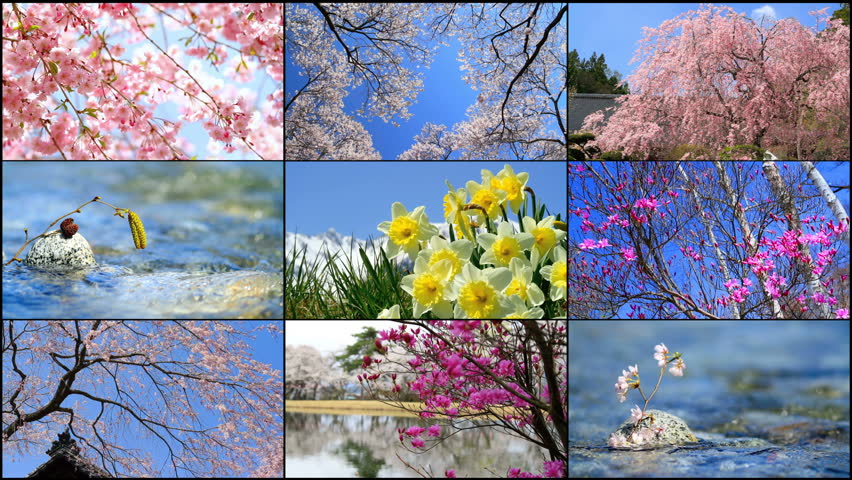 Four Seasons Collage Several Footage Stock Footage Video 100