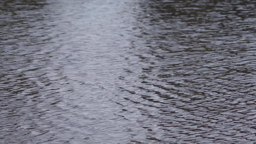 Water Texture Wide Stock Footage Video 25450370 | Shutterstock