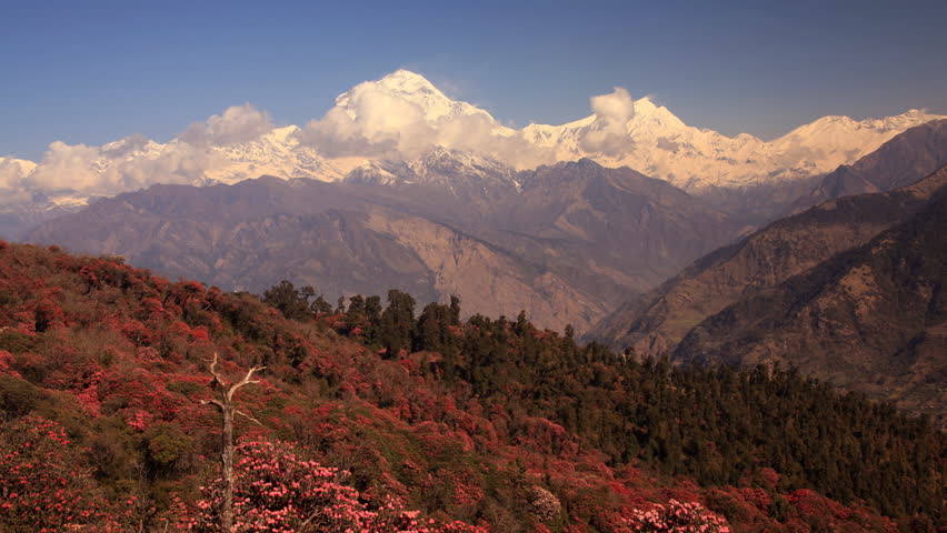 Header of Dhaulagiri