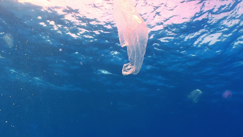 Plastic Pollution Of Ocean Stock Footage Video | Shutterstock Plastic Pollution Of Ocean Stock Footage Video | Shutterstock