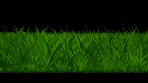 трава green screen. футаж травы. футажи трава. острая трава как стекло кино. футаж трава хромакей.