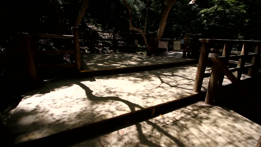 Header of sugi