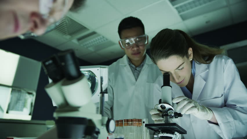 A Team Of CSI Detectives Take Pictures And Gather Evidence From A Crime ...