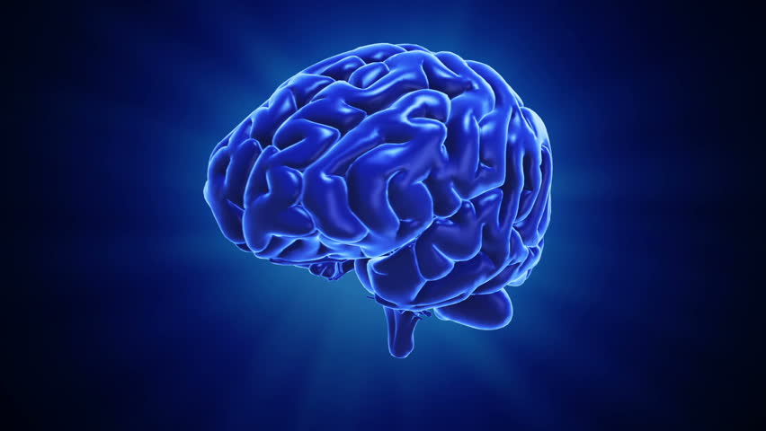 Brain Glowing Blue Stock Footage Video 9458258 | Shutterstock