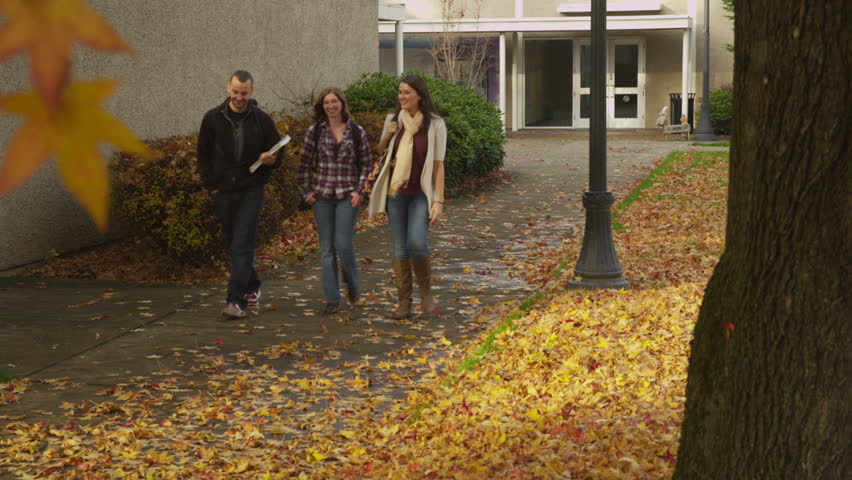 Three College Students Walking Together Stock Footage Video (100%