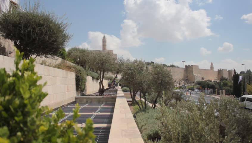 Header of mamilla