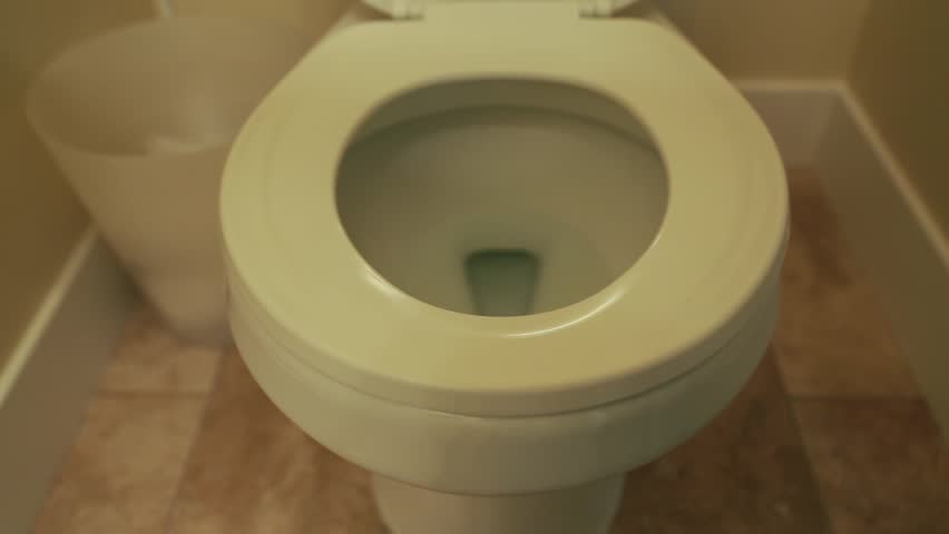 Rat Climbs Out Of Toilet Bowl Stock Footage Video 1464790 | Shutterstock Rat Climbs Out Of Toilet Bowl Stock Footage Video 1464790 | Shutterstock