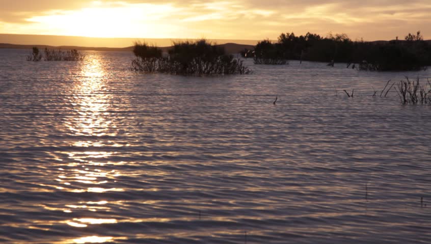 Header of erg