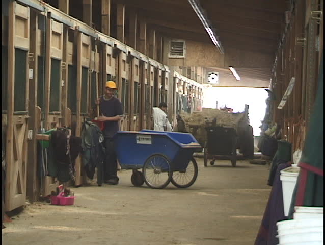 Cleaning Horse Stables Stock Footage Video (100% Royalty-free) 61906 ...