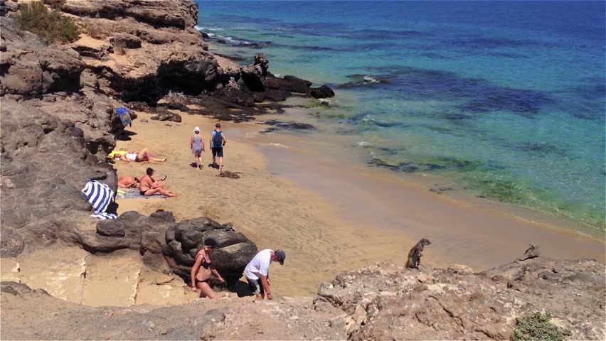 24 best Nude beaches: Fuerteventura images on Pinterest 