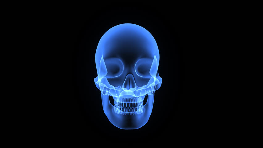 Human Skull Transparent With Brain. X-ray 3D Render Loop Rotation Full ...