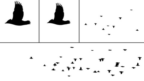 Bird Flocks Use Your Project Just Stock Footage Video (100% Royalty-free) 674566 | Shutterstock Bird Flocks Use Your Project Just Stock Footage Video (100% Royalty-free) 674566 | Shutterstock