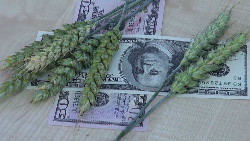 BEST BUSINESS TO START WITH LITTLE MONEY IN AGRICULTURE