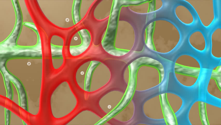 Header of lymph
