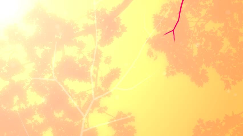 Leaves And Branches Grow Into Stock Footage Video 100