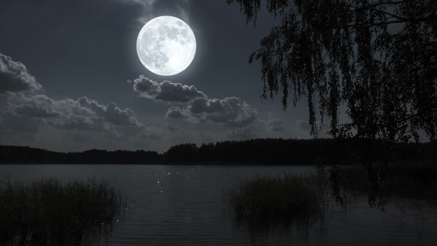 Nature Full Moon Night Landscape With Forest Lake. Stock Footage Video ...