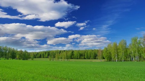 Summer Nature Landscape Field Sky Clouds Stock Footage Video (100%  Royalty-free) 7422886 | Shutterstock