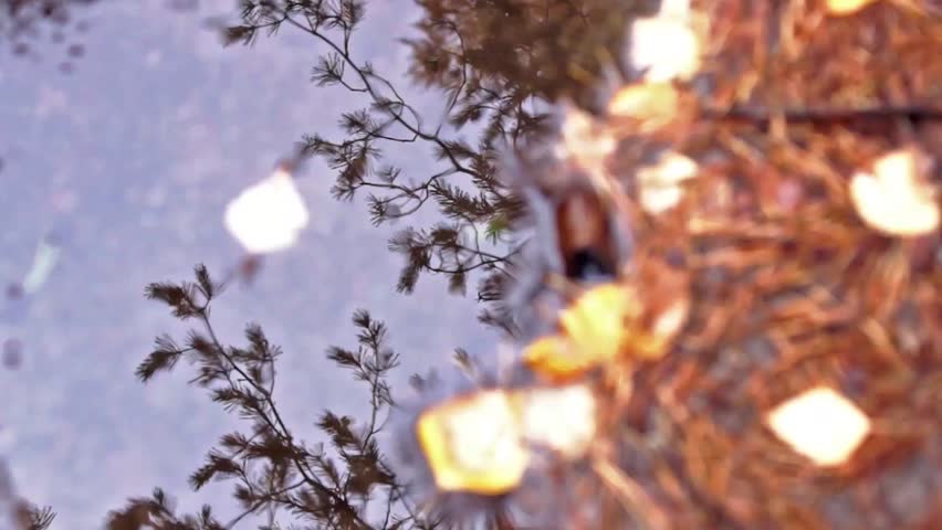 Header of ruddle