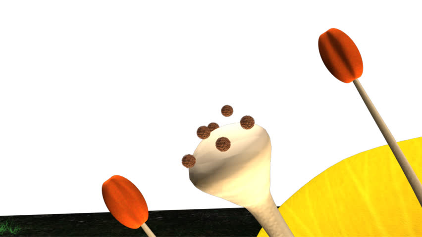 Header of autogamy