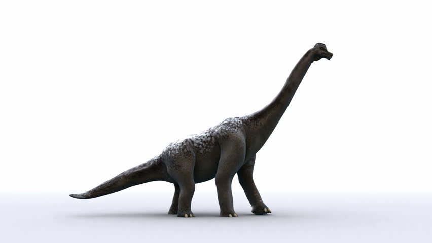 brachiosaurus sauropod