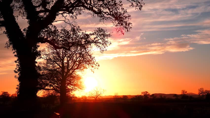 Stock video of autumn sunset landscape with oak trees | 8094466 ...