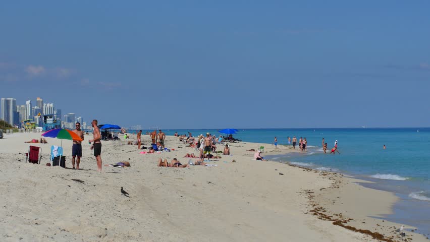 Miami Beach December 19 Stock Footage Video 100 Royalty Free Miami Beach December 19 Stock Footage Video 100 Royalty Free 8307646 Shutterstock