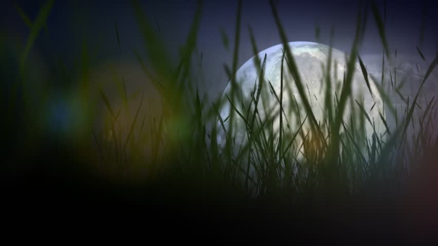 Download 9900 Koleksi Background Art Timelapse Terbaik