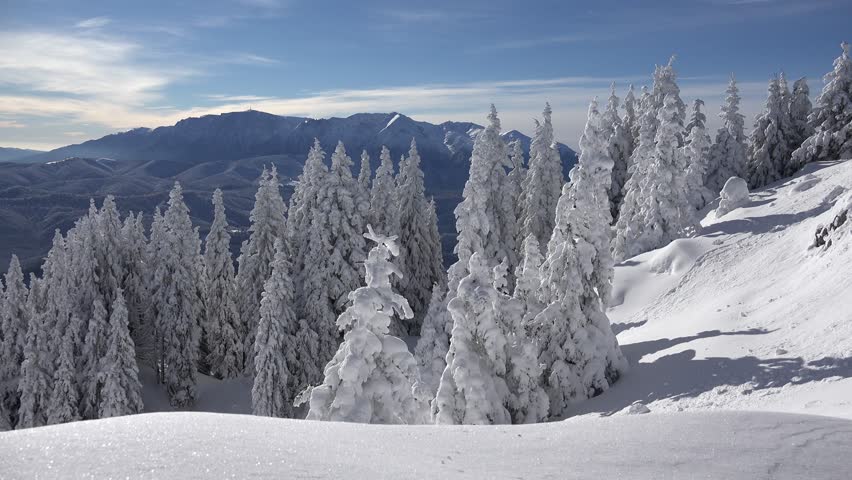 4k Snow Fairytale Winter Scene Stock Footage 100 Royalty Free 8537506 Shutterstock