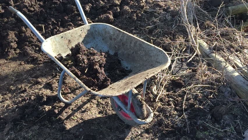 Man Shoveling Manure Into Wheelbarrow Stock Footage Video 2692469 ...