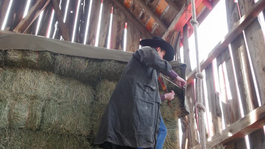 A Cowboy Playing The Fiddle In An Old Barn On Some Haystacks For A