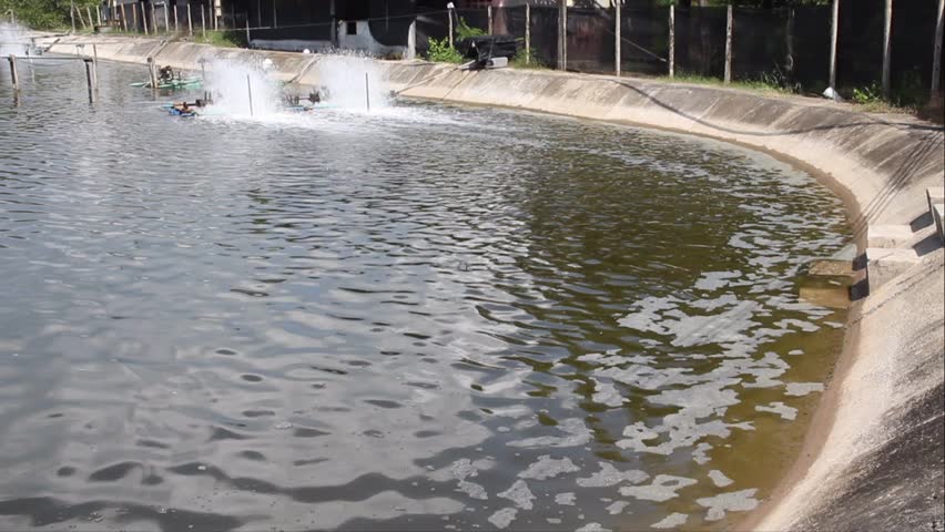 Stock Video Clip of water rotation system in shrimp pond. | Shutterstock
